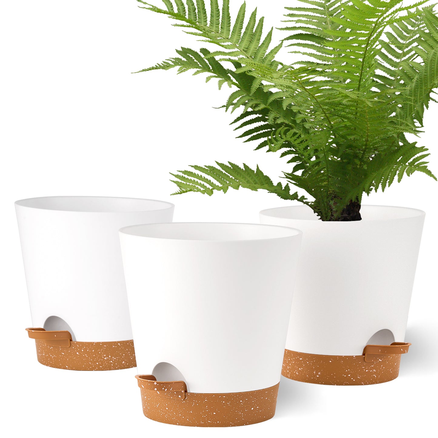 Pflanzentopfs mit Untersetzer (17,8 cm) 3er-Set, Plastik Übertopf Kräutertopf mit Ablauflöchern,weißer mit braunem Untersetzer