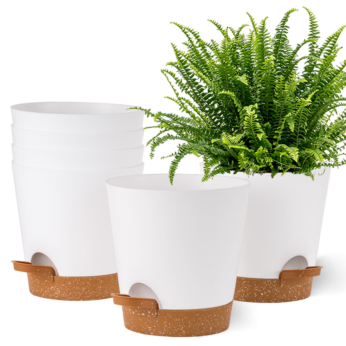 Kunststoff Blumentopf mit Untersetzer (15,2 cm) 6er-Set Plastik Übertopf Kräutertopf mit Mehrere Ablauflöchern,weißer mit braunem Untersetzer