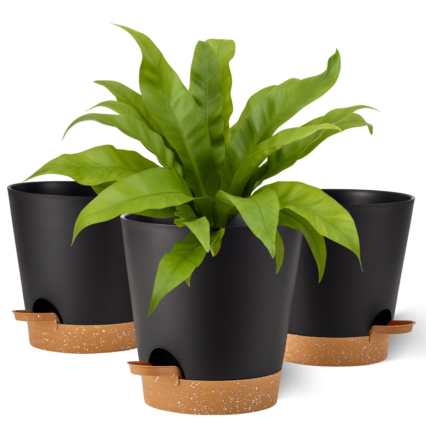 Pflanzentopfs mit Untersetzer (17,8 cm) 3er-Set, Plastik Übertopf Kräutertopf mit Ablauflöchern,Schwarz mit braunem Untersetzer