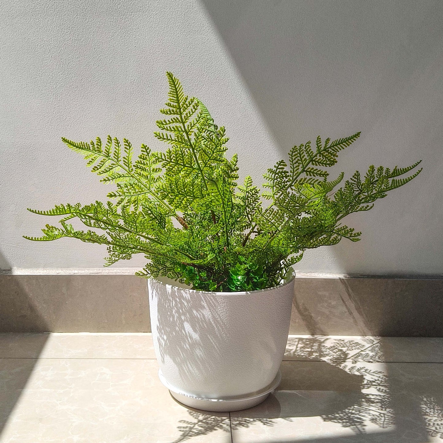 Kunststoff Blumentopf Pflanzentopfs mit Untersetzer (22,9-20,3-19 cm) 3er-Set,weiß