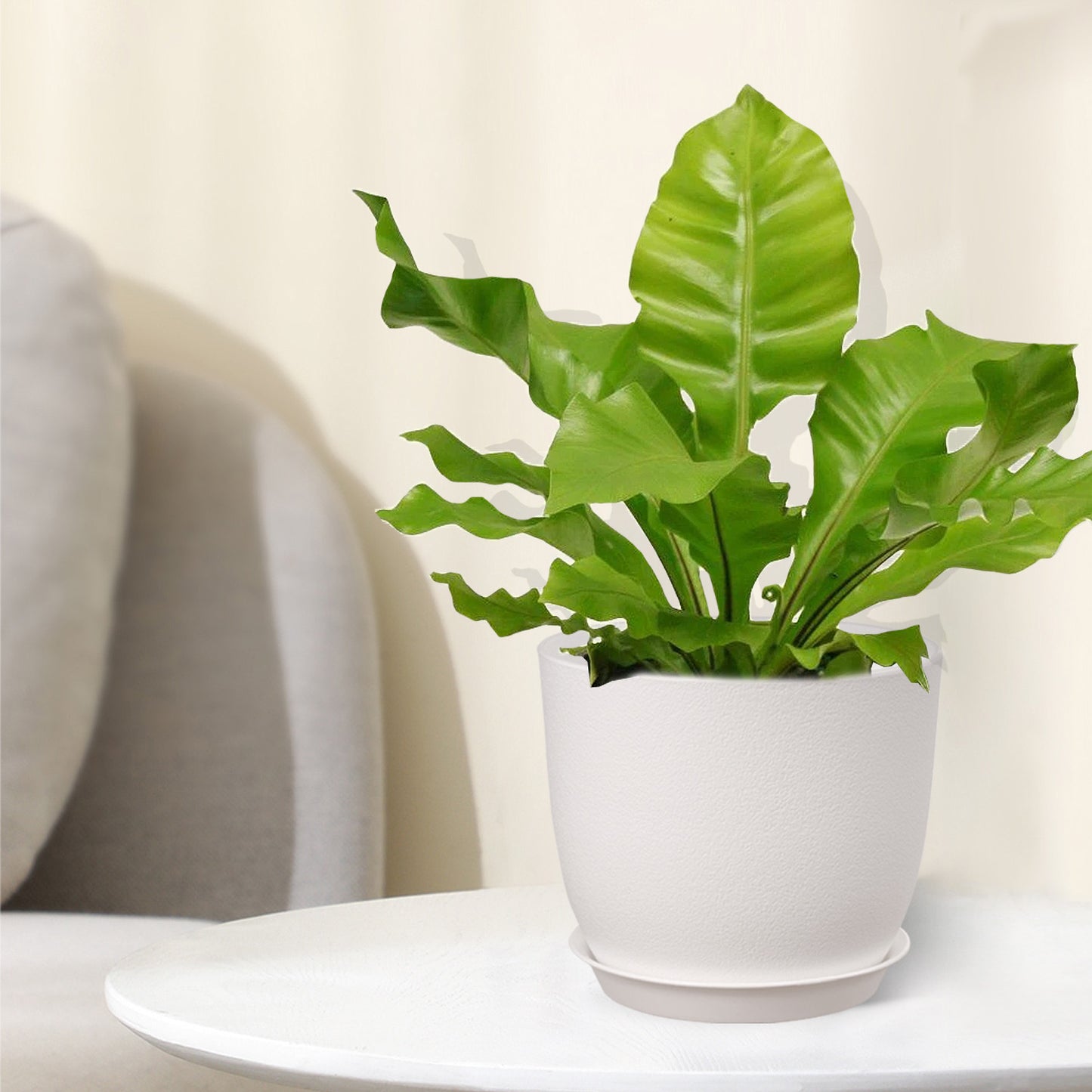 Kunststoff Blumentopf Pflanzentopfs mit Untersetzer (25,4-22,9-20,3 cm) 3er-Set,weiß