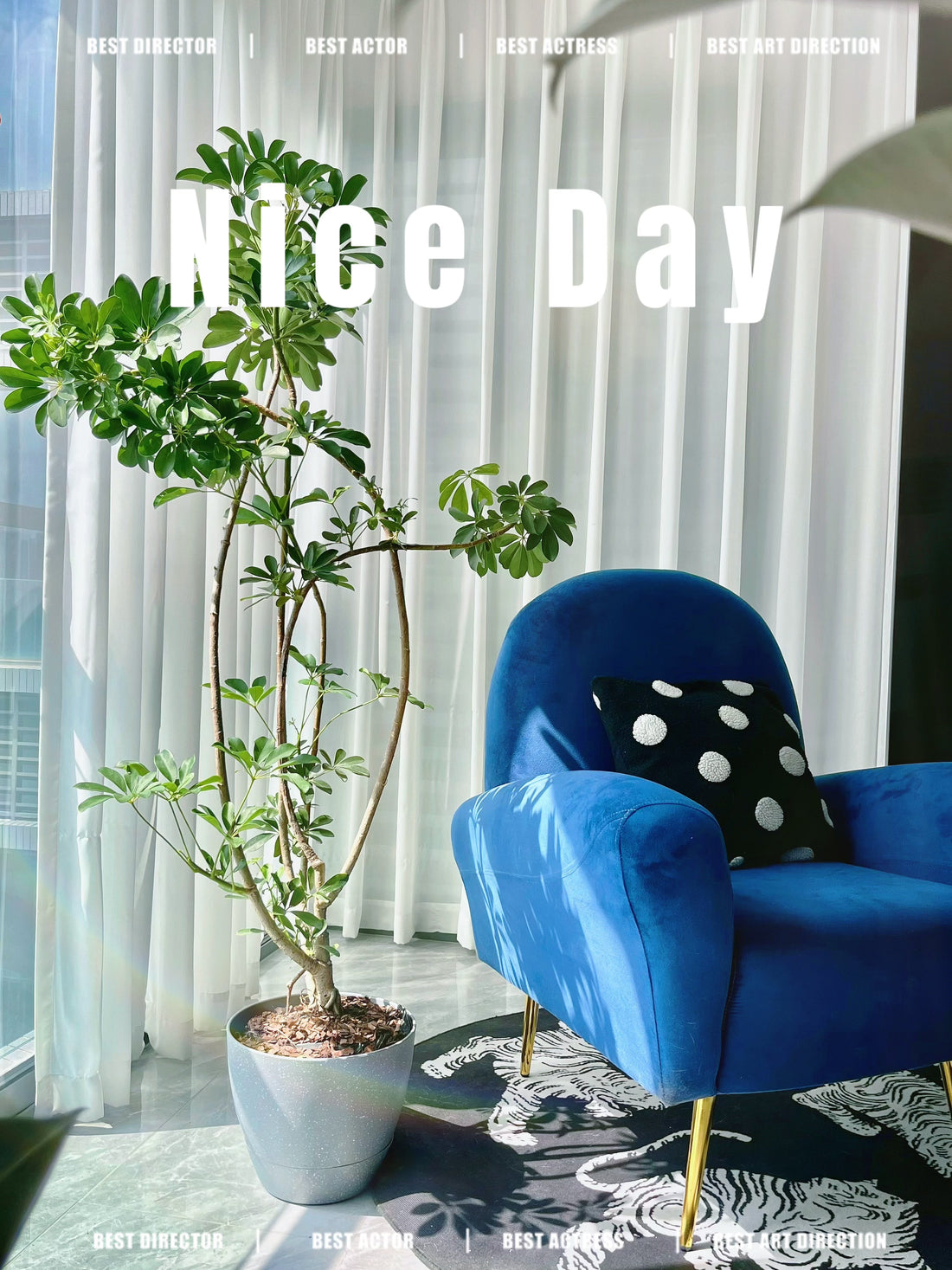 Why Style Matters in Plant Pots