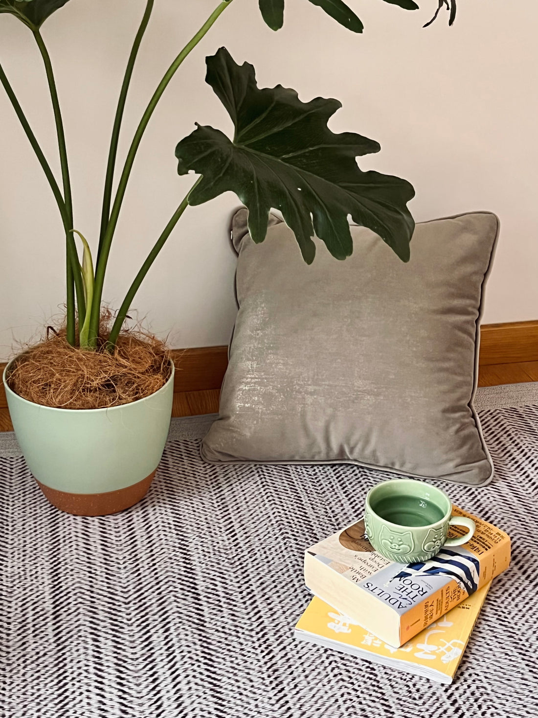 Plant Pots for Outdoor Gardens