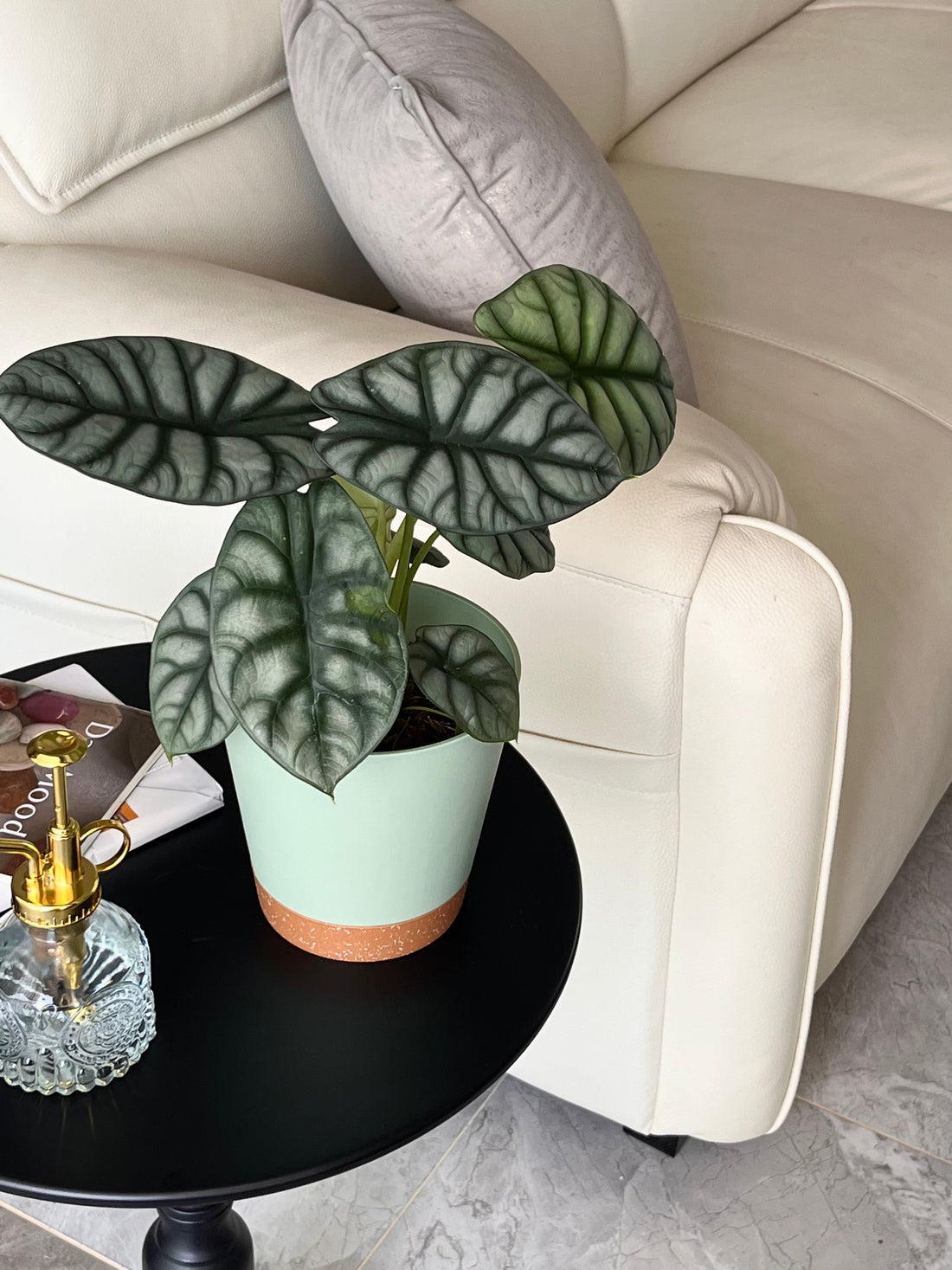 Choosing the Right Pot Size