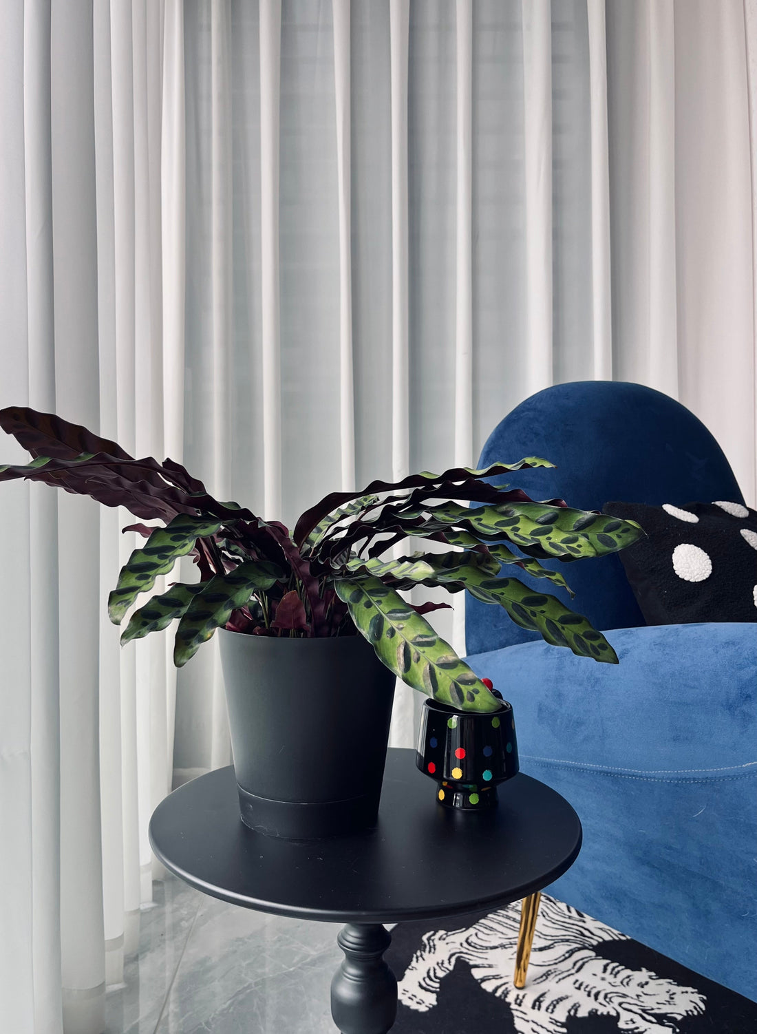 Minimalism in Plant Pots