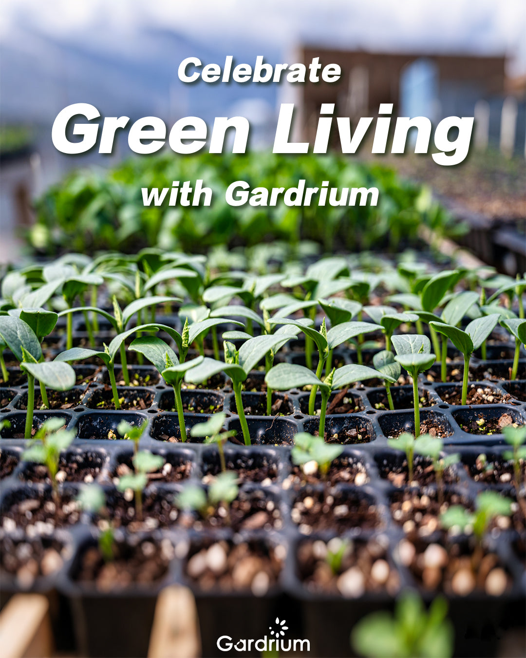 Green Living with Gardrium Plant Pot