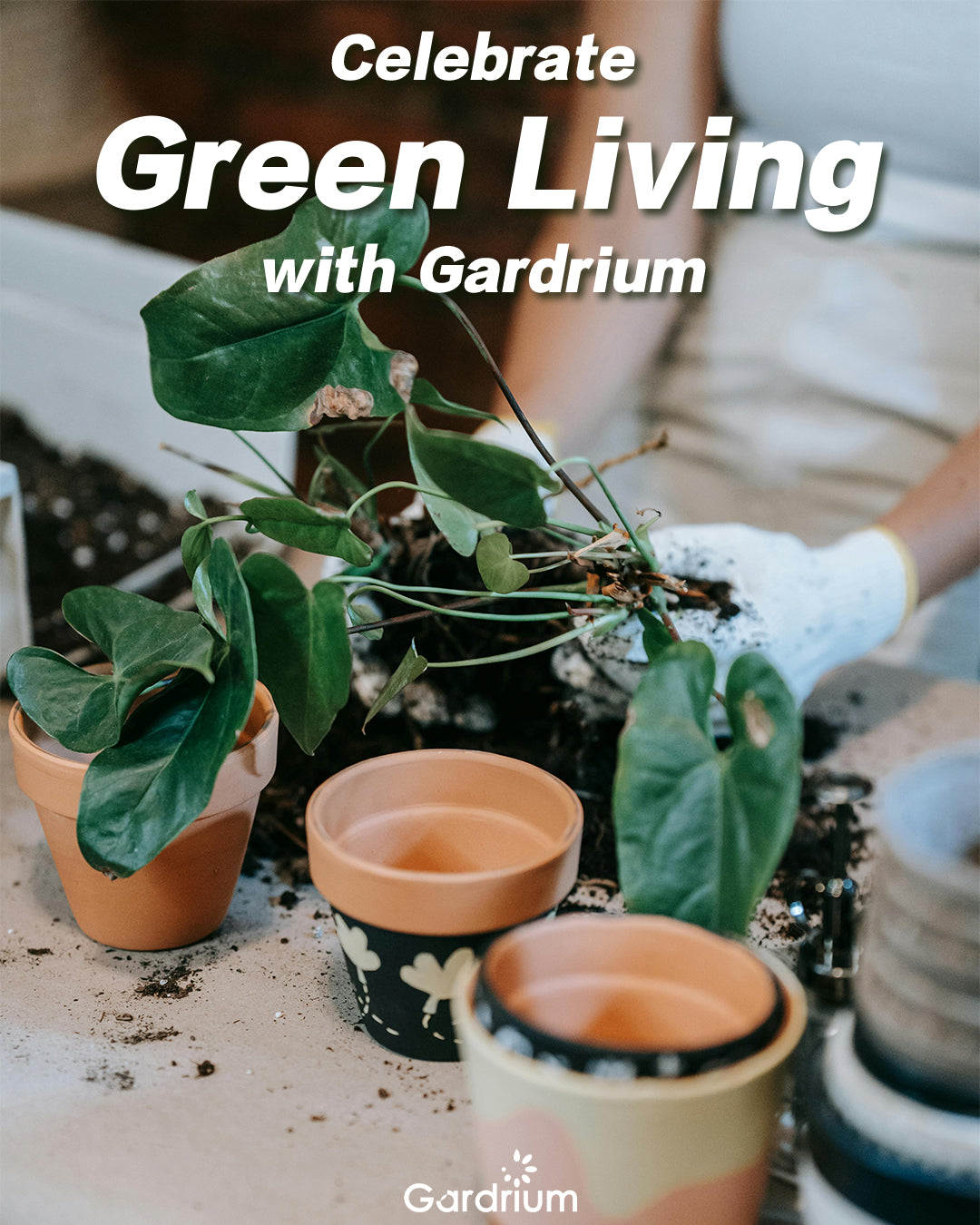 Flowerpots Bring Nature Indoors