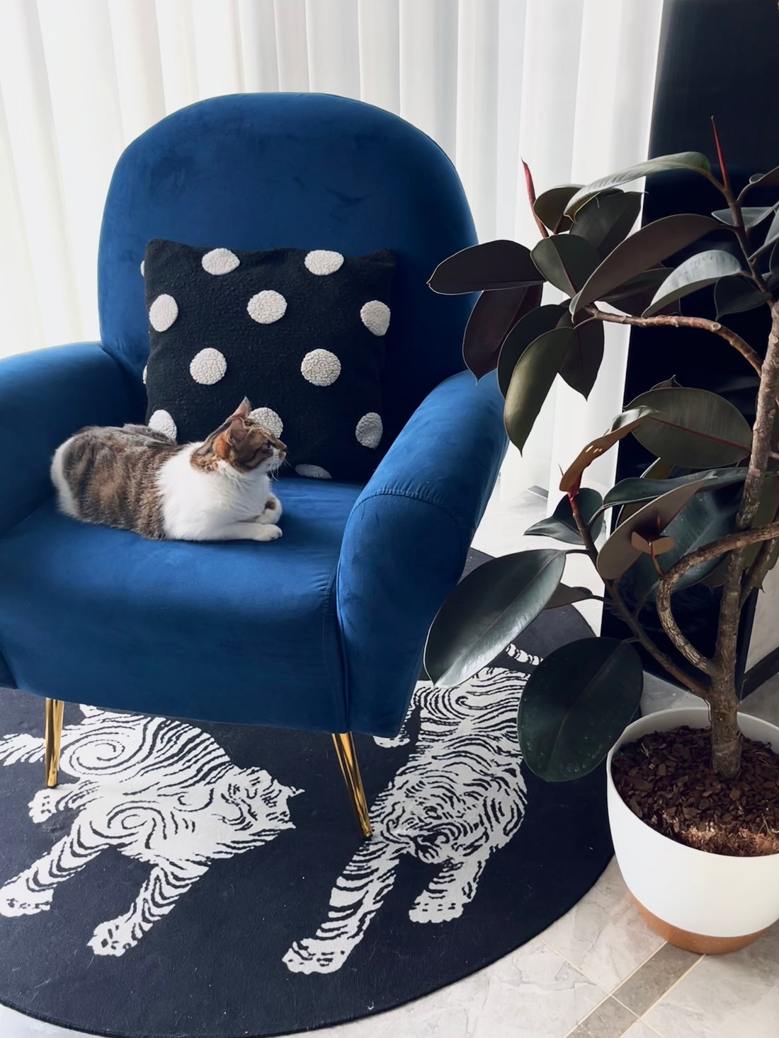 Small Pots, Big Impact