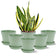 6 Pots de Fleurs en Plastique Plantes, avec Trous de Drainage 17,5 cm,Vert