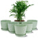 6 Pots de Fleurs en Plastique Plantes, avec Trous de Drainage 17,5 cm Vert