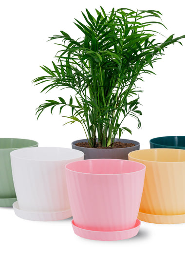 6 Pots de Fleurs en Plastique Plantes, avec Trous de Drainage 17,5 cm Couleur