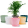 6 Pots de Fleurs en Plastique Plantes, avec Trous de Drainage 17,5 cm Couleur