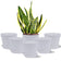 6 Pots de Fleurs en Plastique Plantes, avec Trous de Drainage 17,5 cm,Blanche