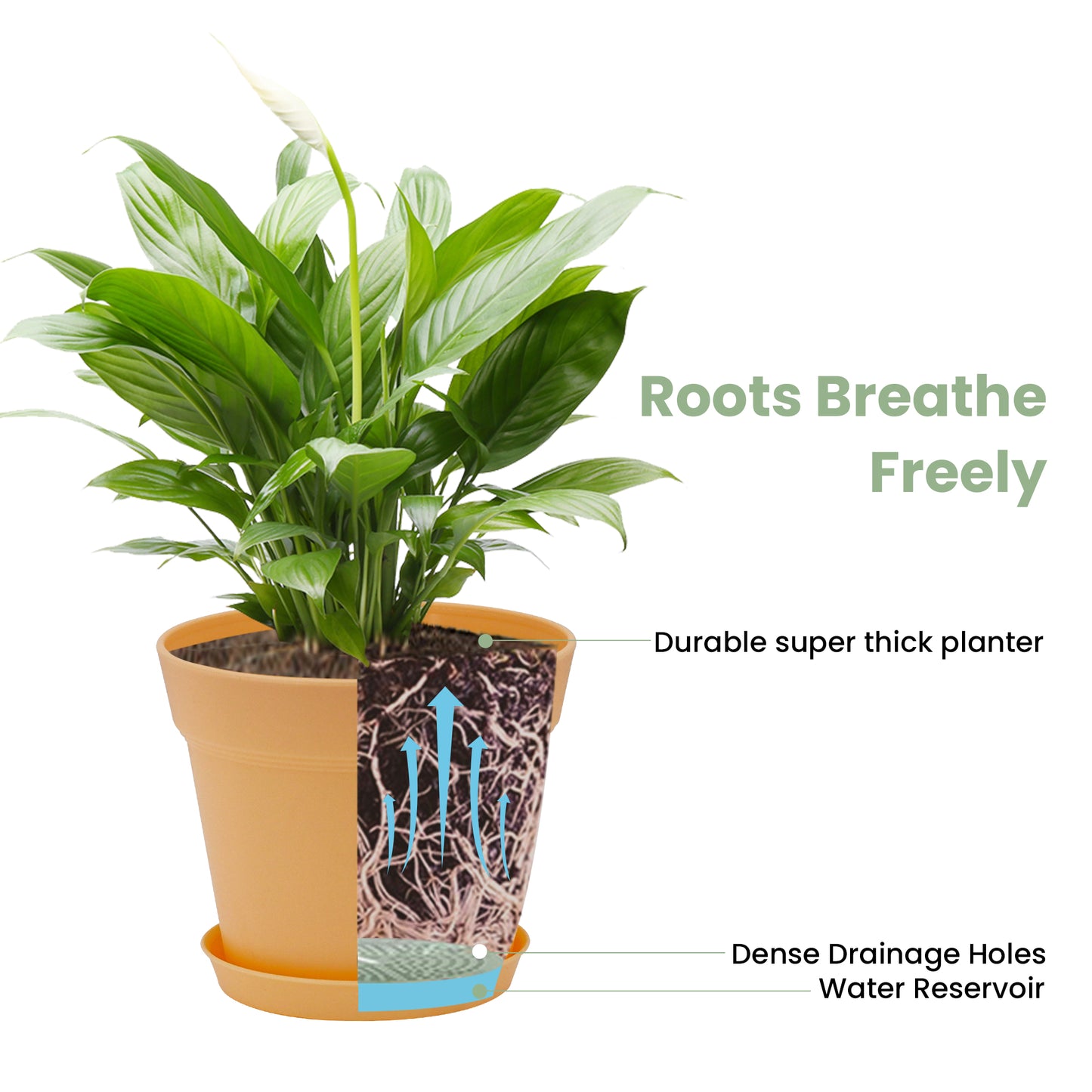 16 Pots de Fleurs en Plastique Plantes, avec Trous de Drainage 15 cm,Couleur