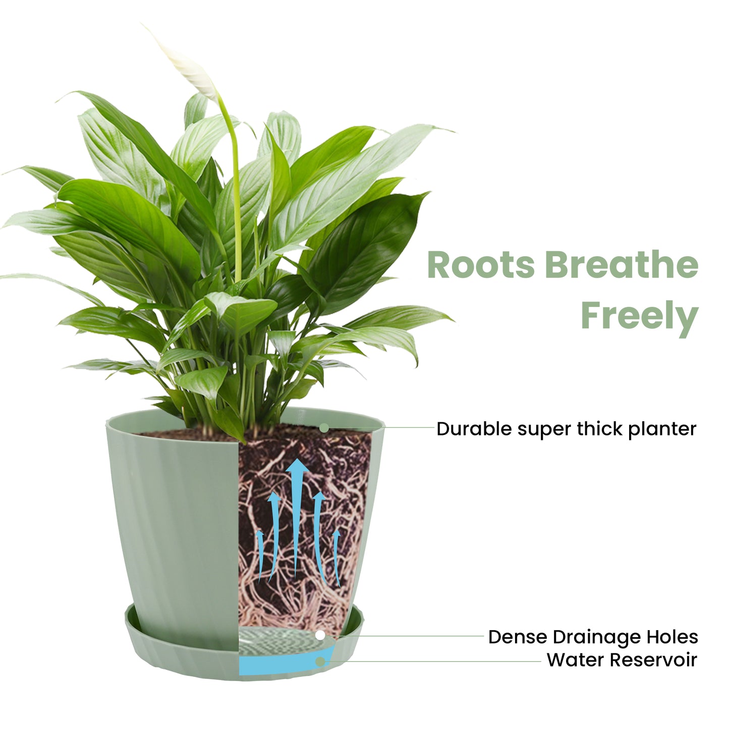 6 Pots de Fleurs en Plastique Plantes, avec Trous de Drainage 17,5 cm Vert