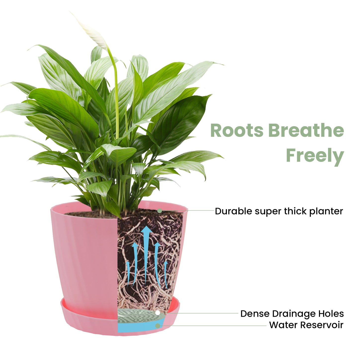 6 Pots de Fleurs en Plastique Plantes, avec Trous de Drainage 17,5 cm Couleur