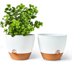 Gardrium 12'' Self watering planter pot set of 2, White & Brown