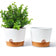 12'' Self watering planter pot set of 2, White & Brown