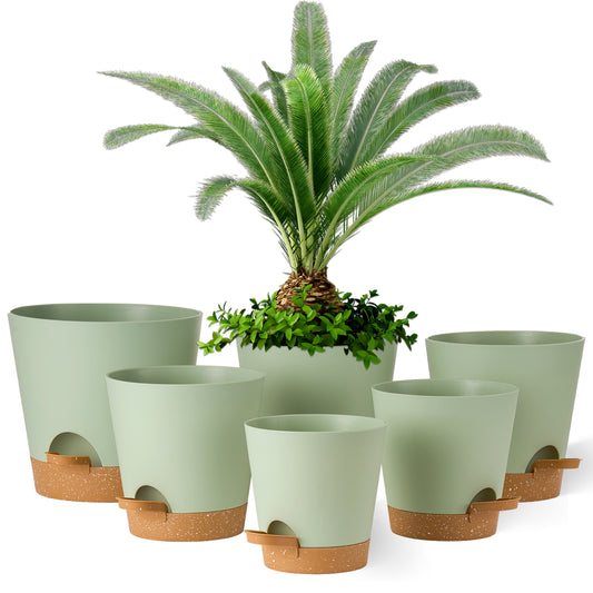 Kunststoff Blumentopf Pflanzentopfs (20,3-17,8-16,5-15,2-14-12,7cm) 6er-Set,Grün mit braunem Untersetzer