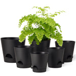 Kunststoff Blumentopf Pflanzentopfs (20,3-17,8-16,5-15,2-14-12,7cm) 6er-Set,Schwarz