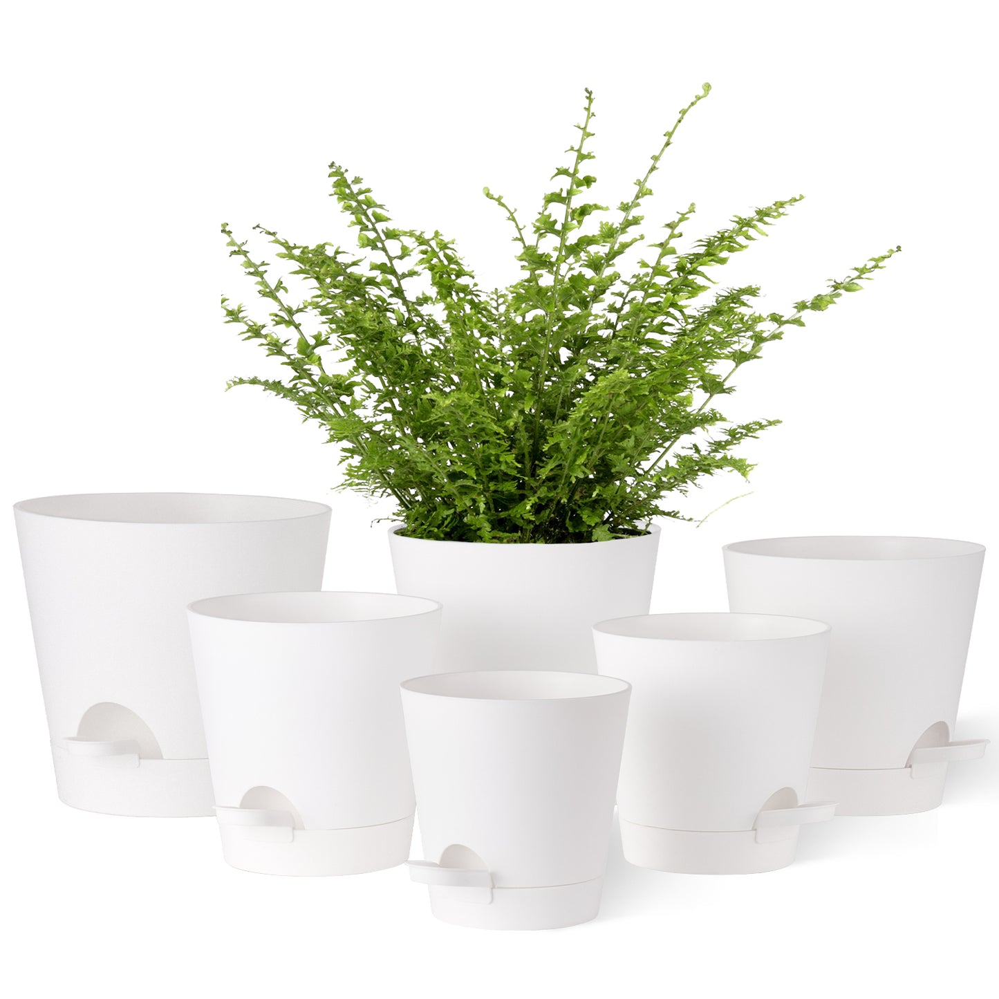 Kunststoff Blumentopf Pflanzentopfs (20,3-17,8-16,5-15,2-14-12,7cm) 6er-Set,weiß