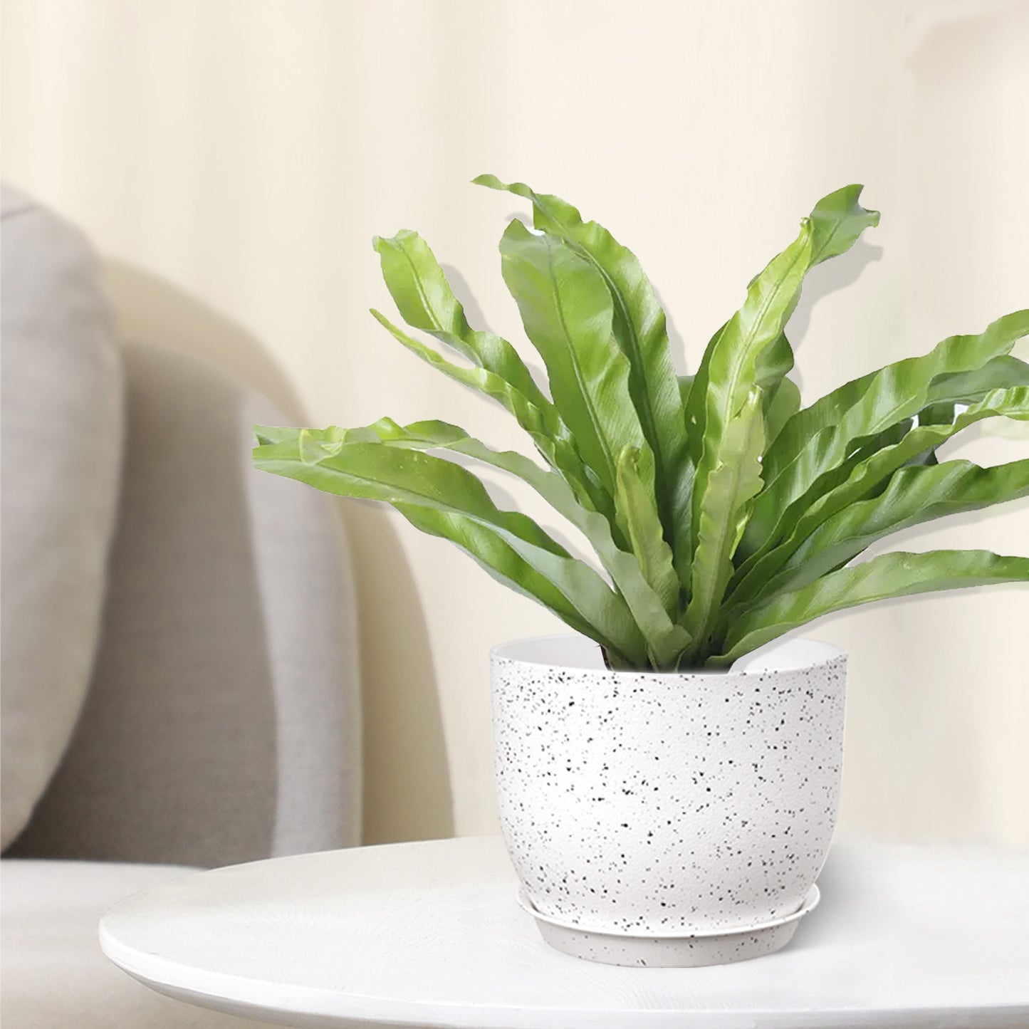Lot de 3 Pots 30,5/25,4/22,9 cm de Fleurs en Plastique Plantes,Blanc moucheté