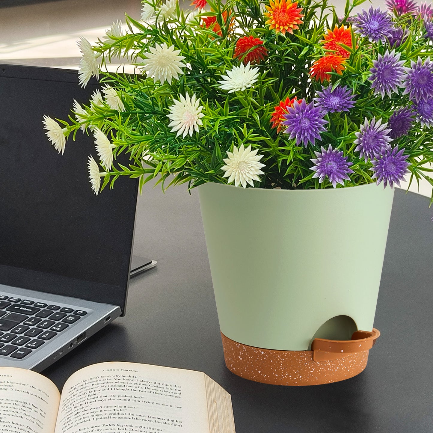 Kunststoff Blumentopf mit Untersetzer (15,2 cm) 6er-Set Plastik Übertopf Kräutertopf mit Mehrere Ablauflöchern,Grün mit braunem Untersetzer