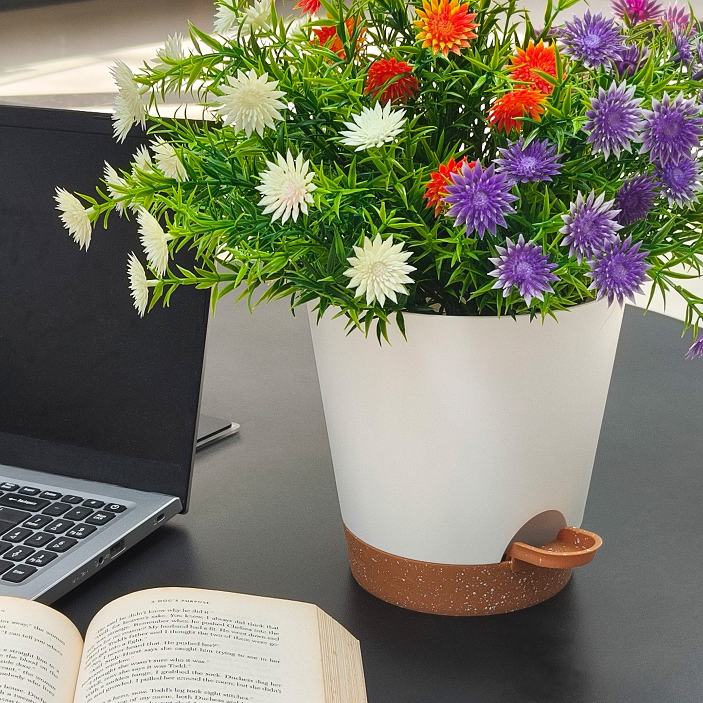 Kunststoff Blumentopf mit Untersetzer (15,2 cm) 6er-Set Plastik Übertopf Kräutertopf mit Mehrere Ablauflöchern,weißer mit braunem Untersetzer